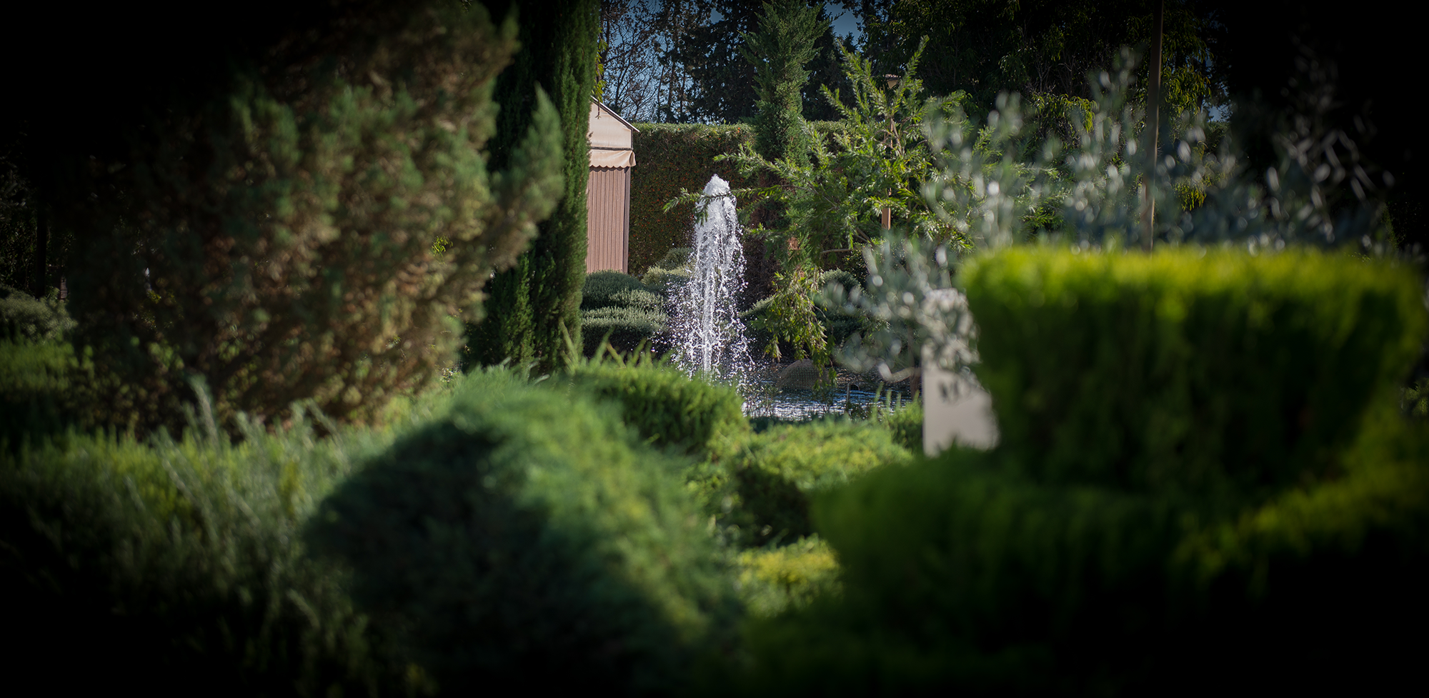 Fuentes de los jardines de Aquario para las fotos del bautizo